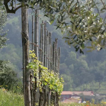 Farm stay Borgo La Casetta