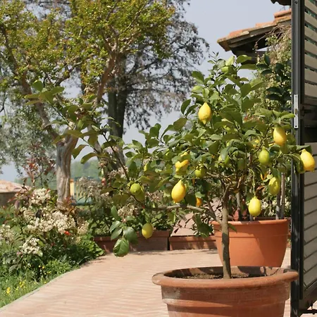 팜스테이 Borgo La Casetta 산바론토